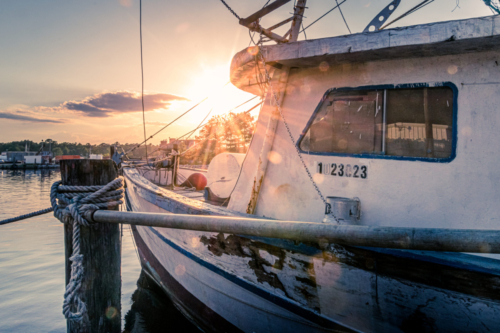 Shrimp Boat Sunset