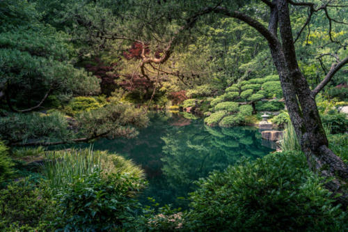 Japanese Gardens