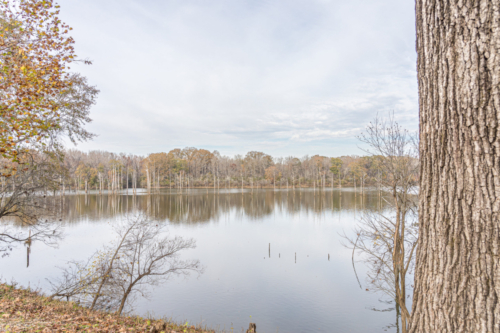 Jackson Island Lake