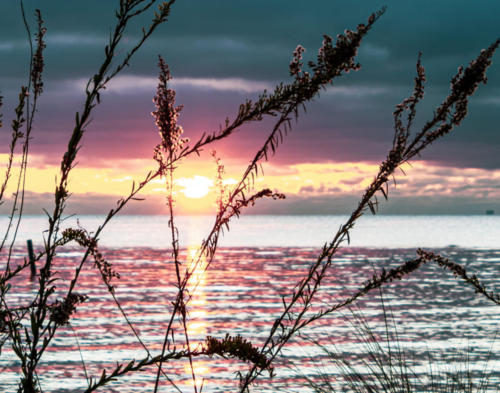 Sunrise - Mobile Bay